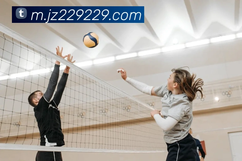 App Interface Preview