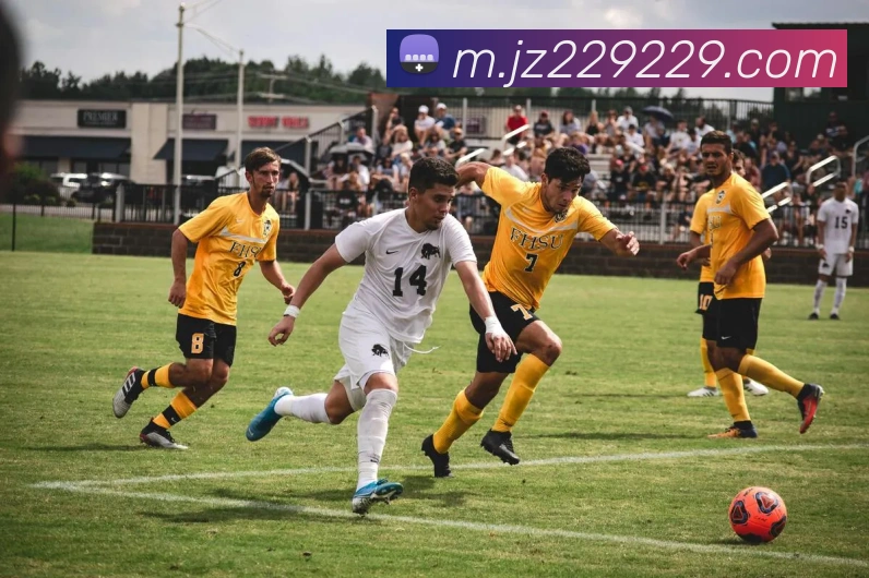 九州娱乐官网平台APP 封面图